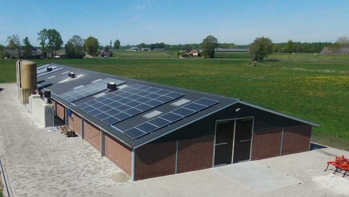 Schuur na asbestsanering door asbestbedrijf in Gelderland met nieuwe stenen muur