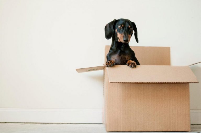 Home Professionele verhuizers vervoeren veilig meubels en dozen in een verhuiswagen